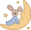 lapin