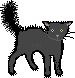 chat noir