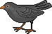 oiseau