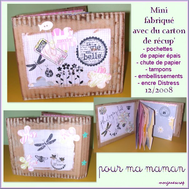 mini album carton
